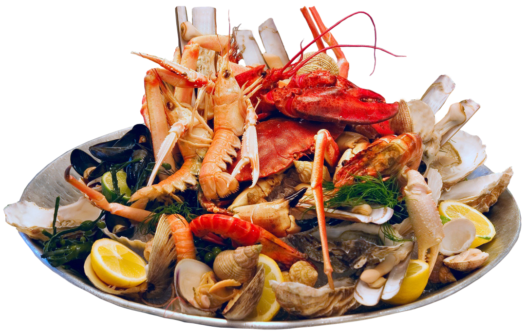 plateaux de fruits de mer - le catamaran restaurant